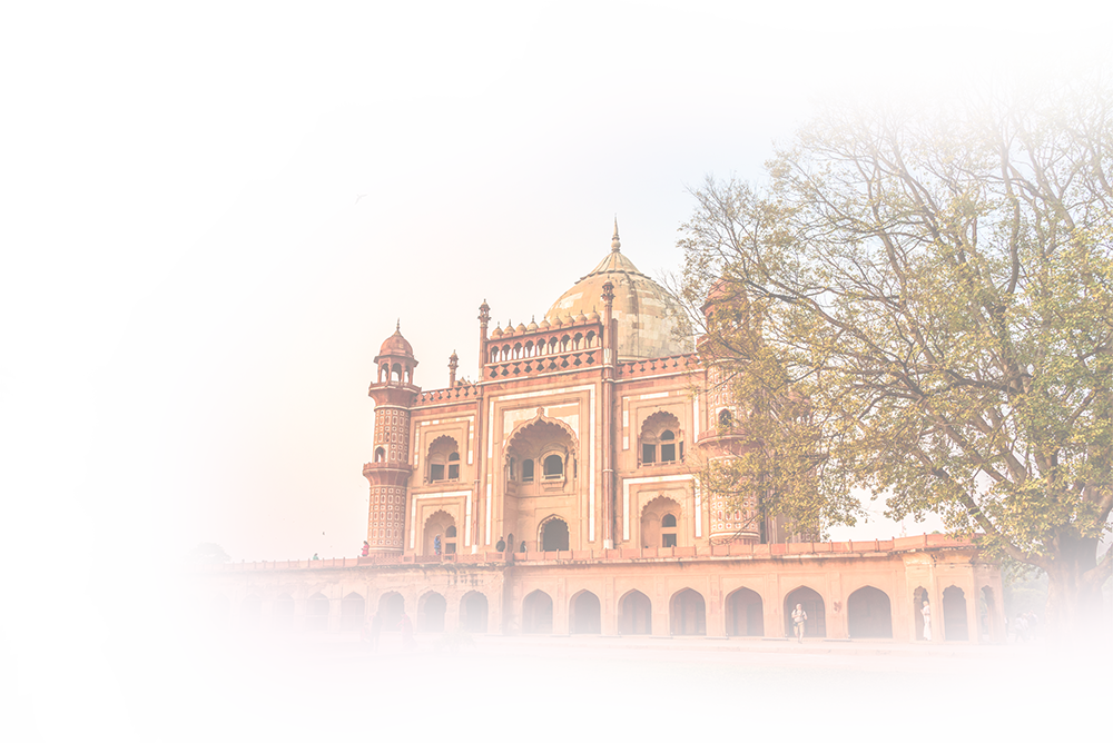 Golden Triangle Trip